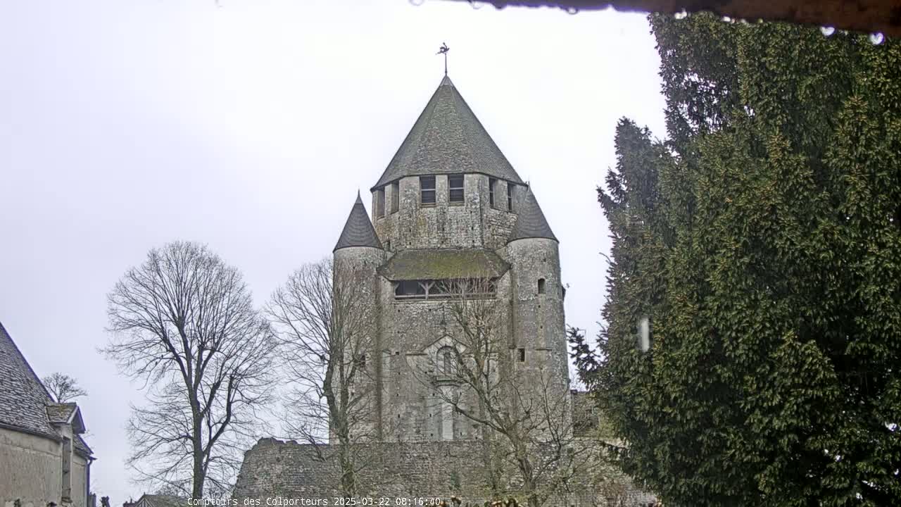 A tall, stone tower with a conical roof stands amidst bare trees under an overcast sky, with rain visible on a nearby evergreen tree.