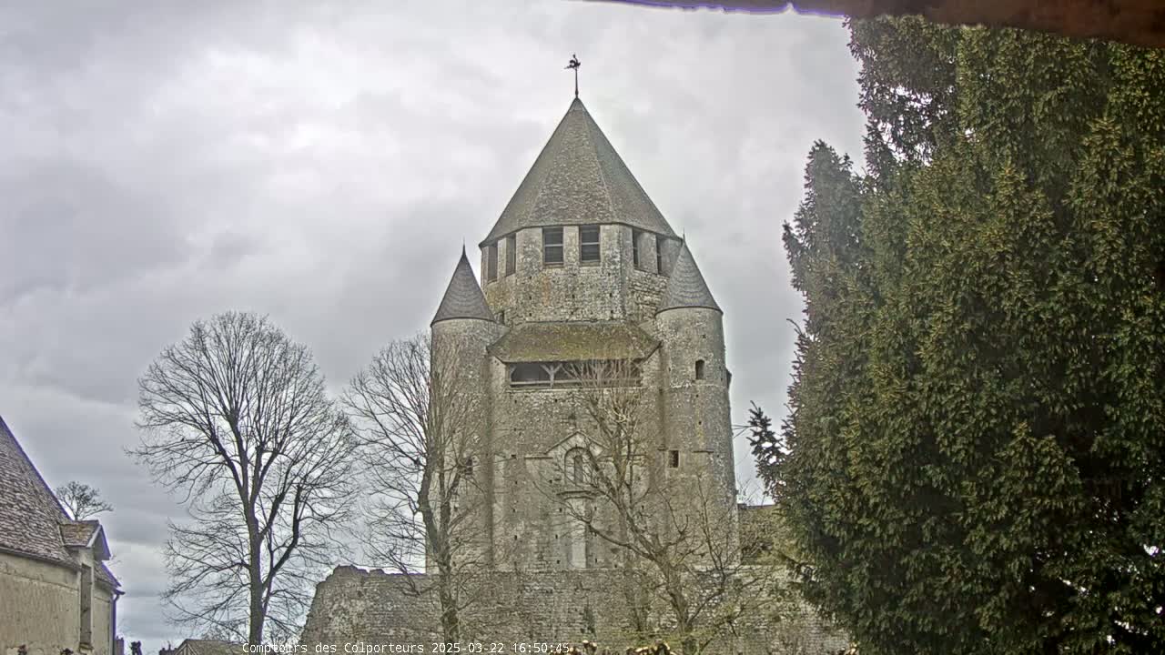 A large stone tower, part of a larger stone structure, is seen under an overcast sky, with bare deciduous trees and an evergreen tree in the foreground.