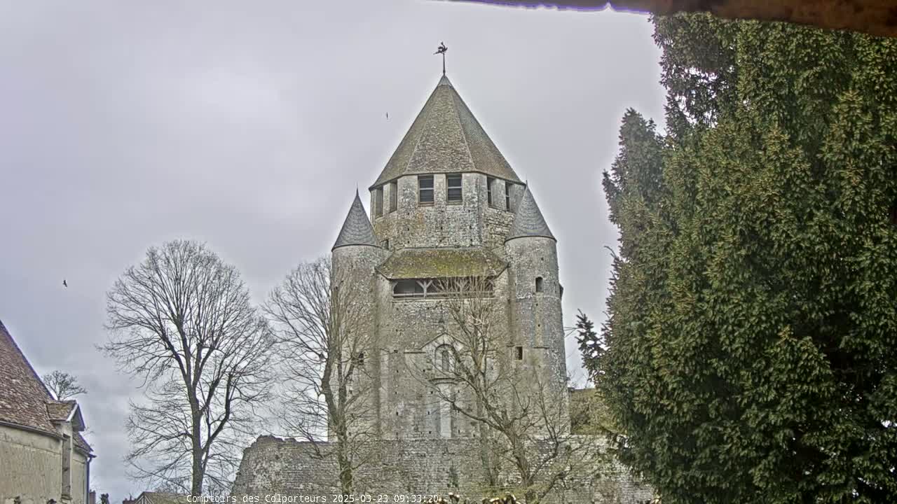 A large stone tower, with smaller towers flanking it, stands under a cloudy sky, surrounded by bare trees and an evergreen bush.