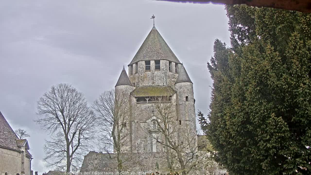 A stone tower, part of a larger stone structure, stands under a cloudy sky, surrounded by leafless trees and an evergreen tree.