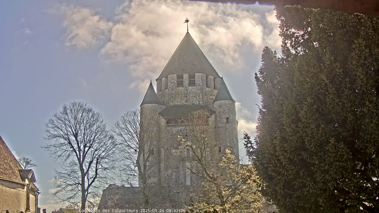 A large stone tower with smaller turrets on either side stands under a partly cloudy sky, partially obscured by bare trees and an evergreen bush.