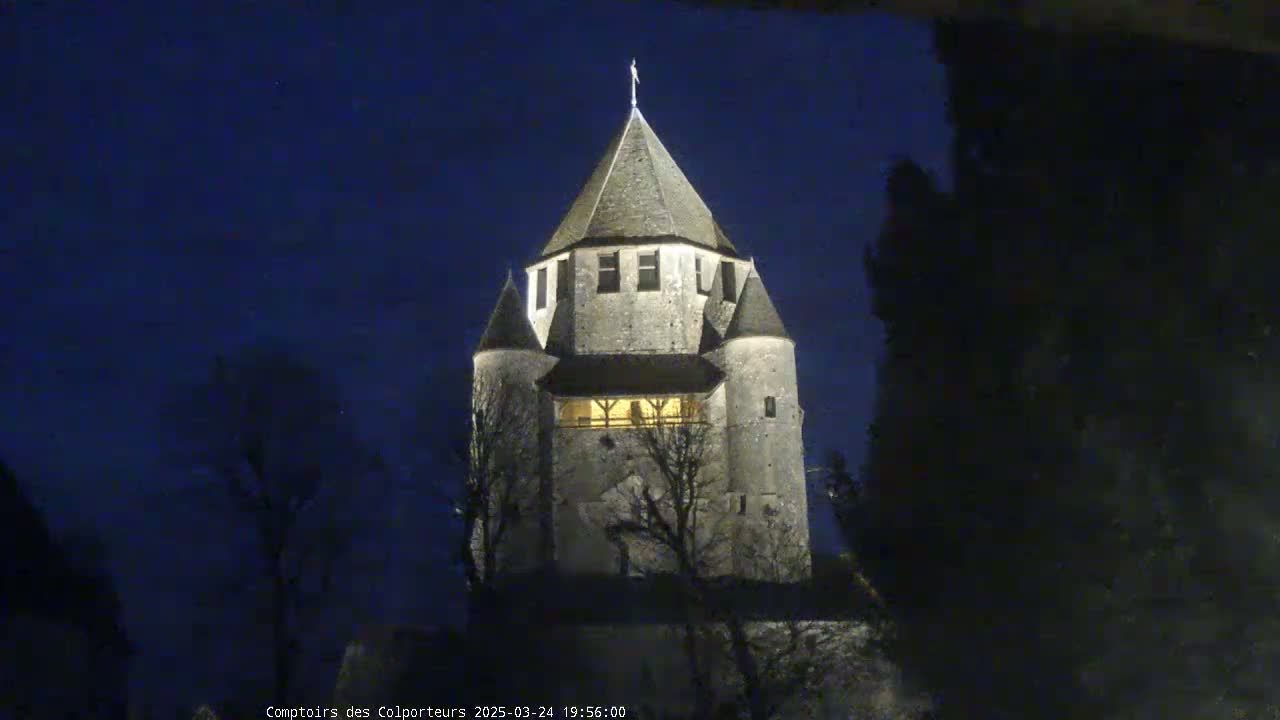 A stone tower, illuminated at night, stands among bare trees under a dark blue sky.