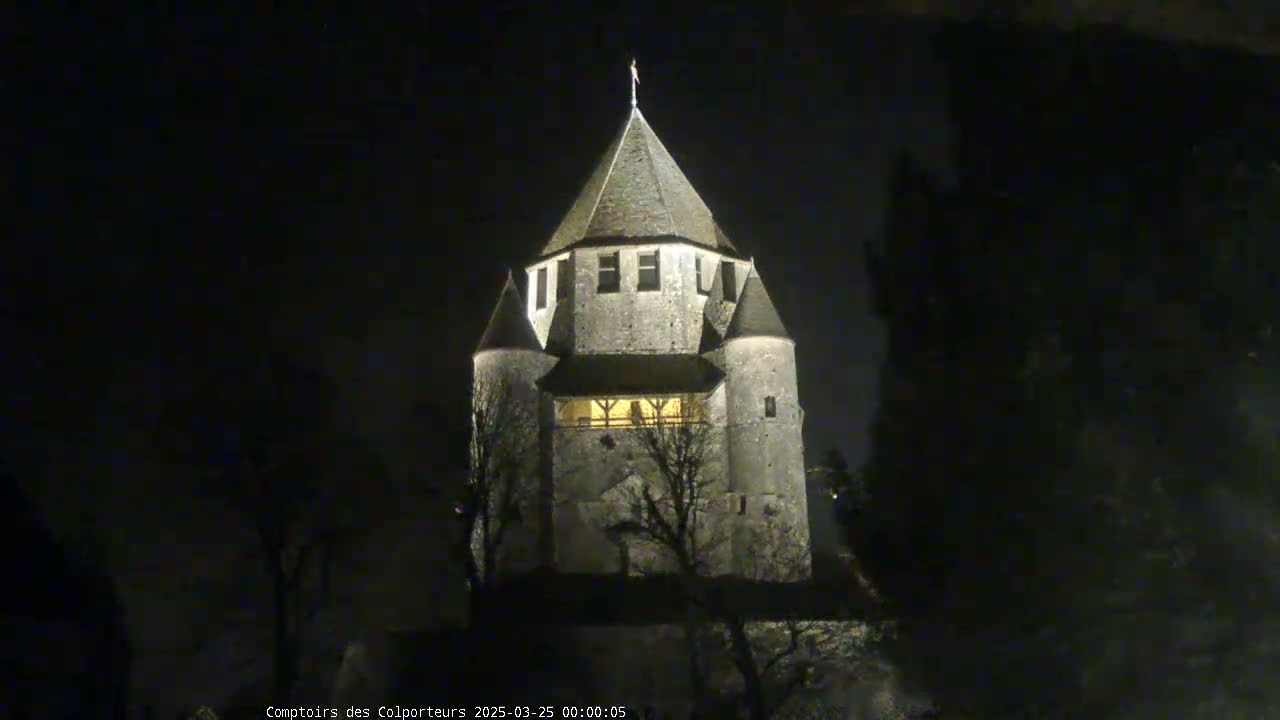 A stone tower, illuminated at night, stands among dark trees under a clear, dark sky.