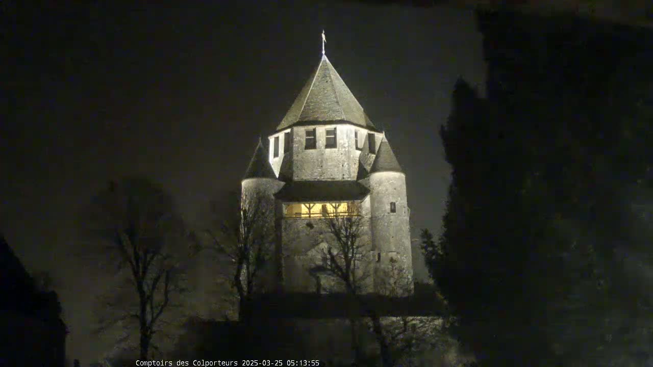 A stone tower, illuminated at night, stands among bare trees under a dark sky.
