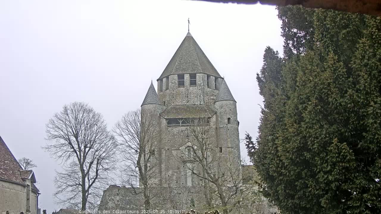 A large stone tower with a conical roof stands among bare trees on an overcast day.