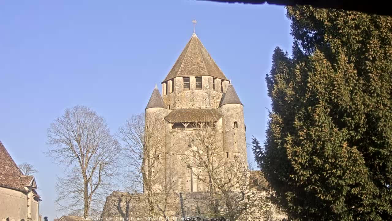 A large stone tower with a conical roof stands prominently against a clear blue sky, partially obscured by bare winter trees and an evergreen.