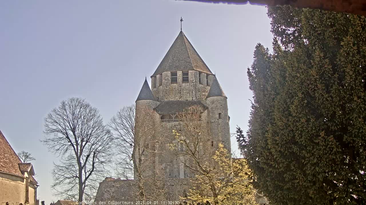A large stone tower, possibly a church steeple, stands among bare and budding trees under a clear, light blue sky.
