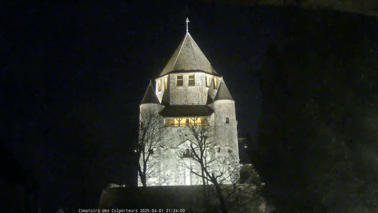 A stone tower, illuminated at night, stands among bare trees under a dark sky.