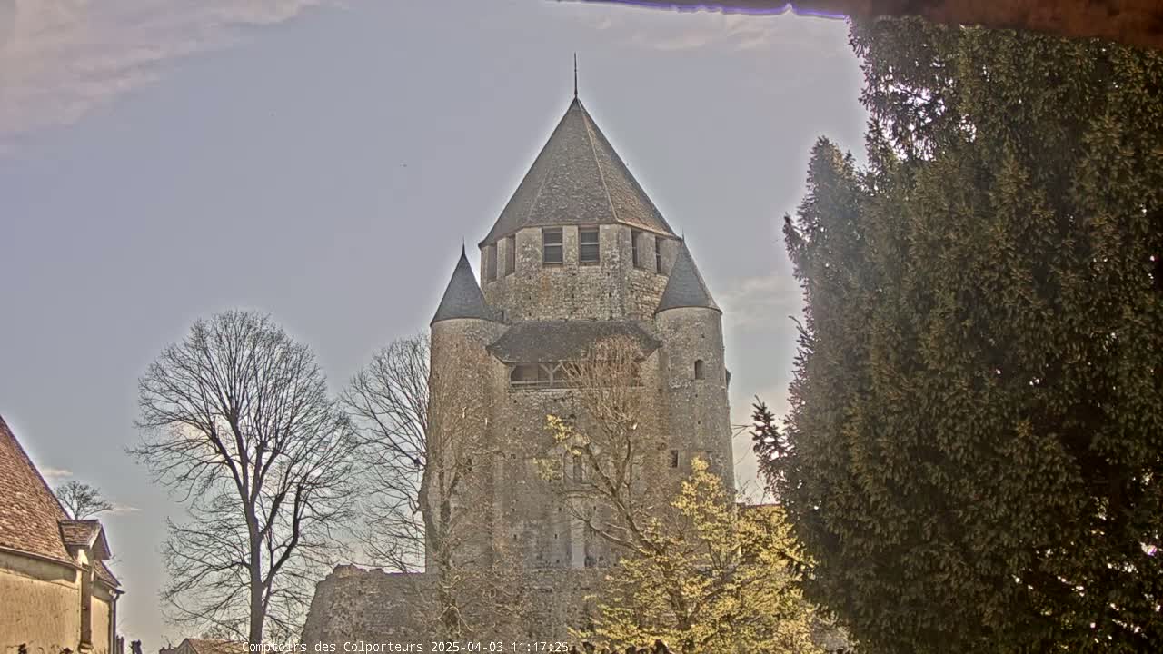 A large stone tower with a conical roof is partially visible behind bare trees and evergreens under a mostly cloudy sky.