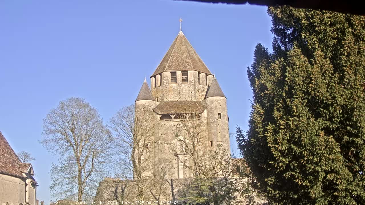 A tall, stone tower with a conical roof stands under a clear blue sky, partially obscured by leafless trees and an evergreen tree.