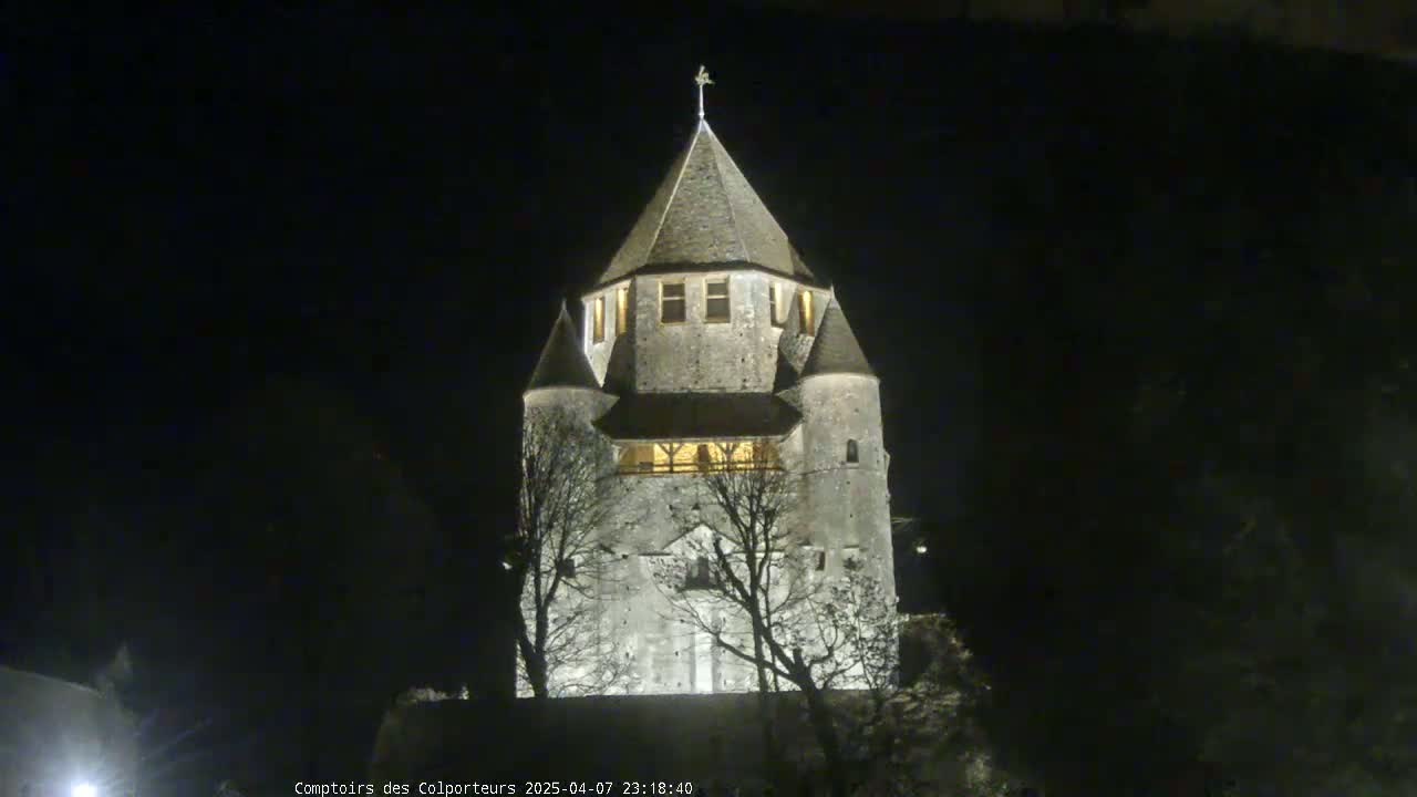 A stone tower, illuminated at night, stands among bare trees under a dark sky.