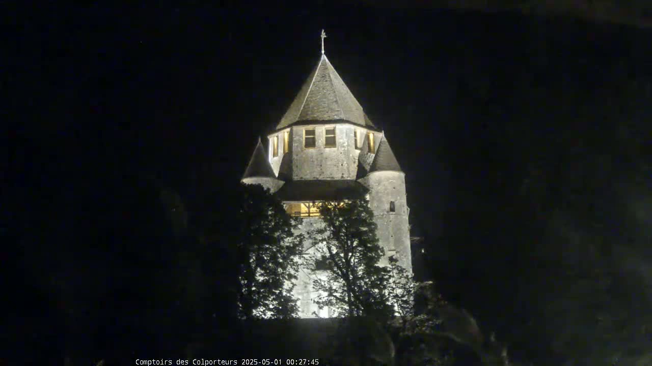 A stone tower, illuminated at night, is partially obscured by trees.