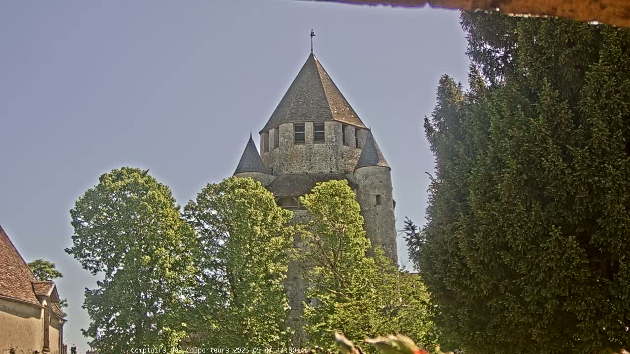 A stone tower with a conical roof rises above leafy green trees under a clear, light blue sky.