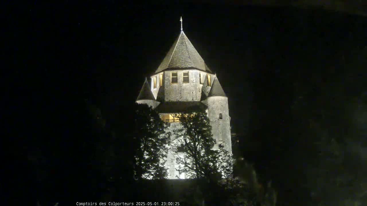 A stone tower, illuminated at night, is partially obscured by trees.