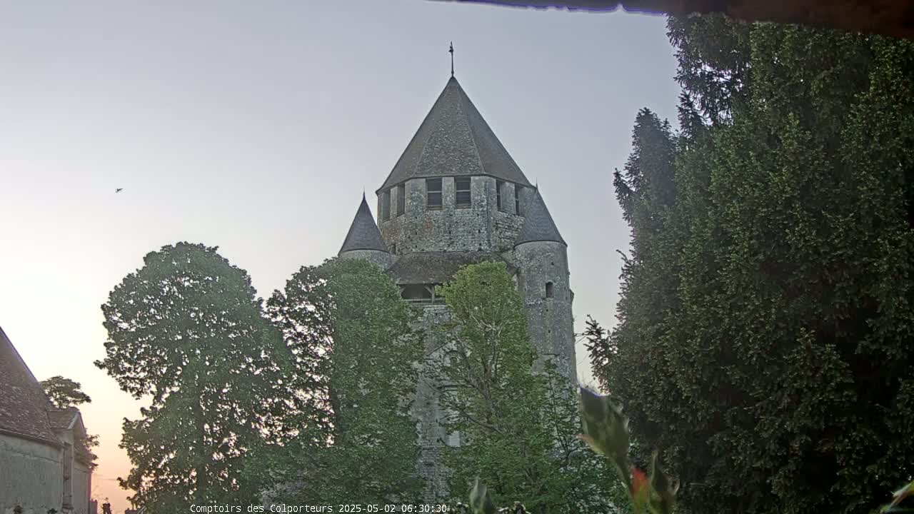 A stone tower, partially obscured by trees, is visible under a pale, clear sky at dawn.