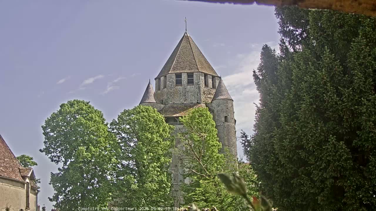 A stone tower with a conical roof and smaller flanking towers is partially obscured by leafy green trees under a mostly clear, light-blue sky.