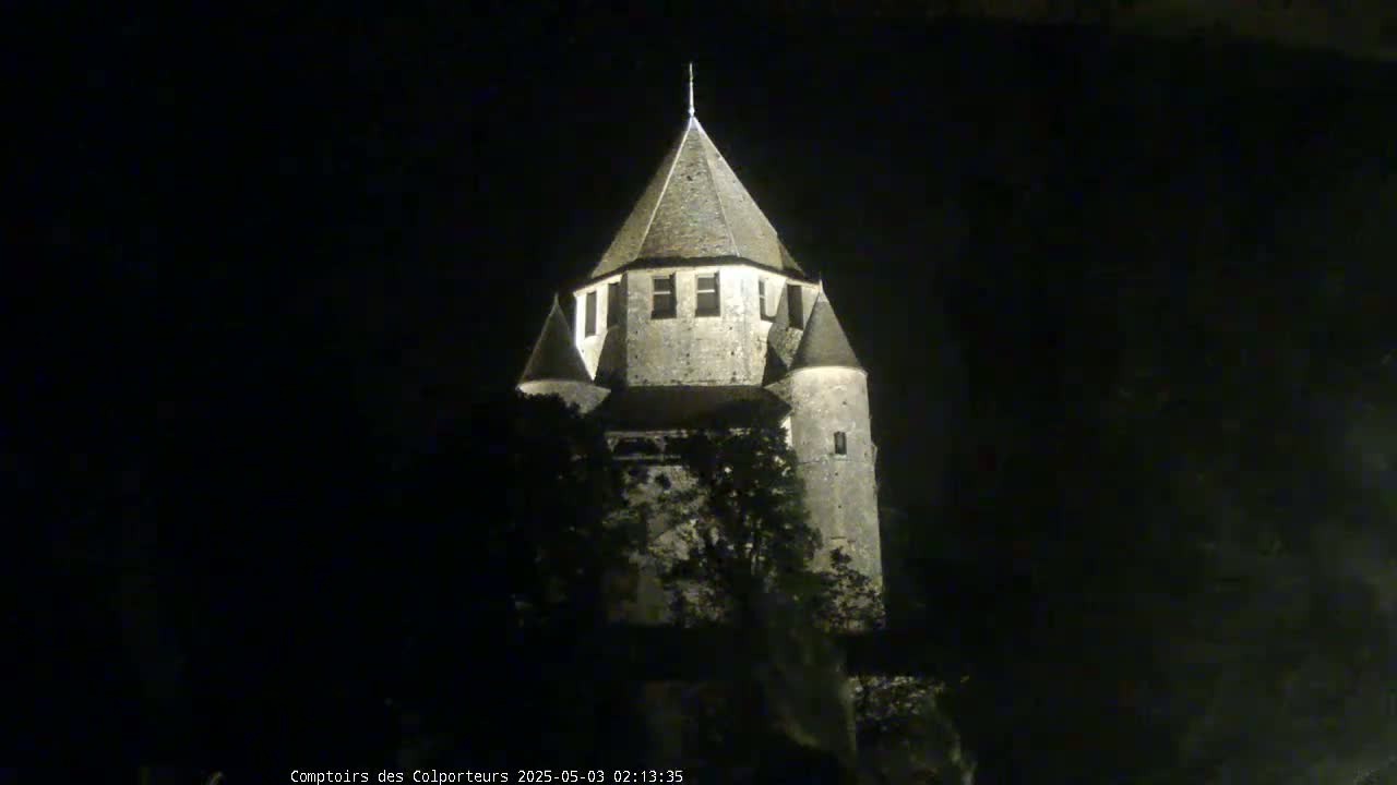 A stone tower, illuminated at night, is partially obscured by dark trees.