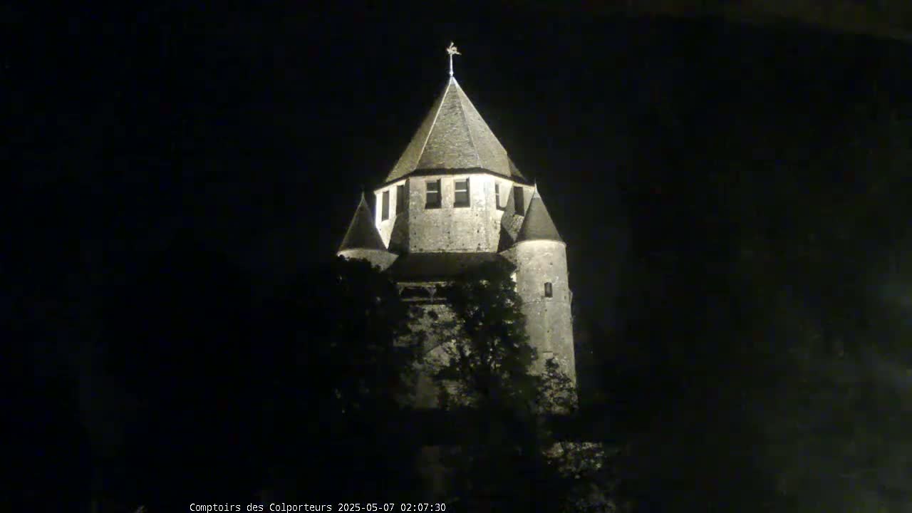 A stone tower, illuminated at night, stands partially obscured by trees.