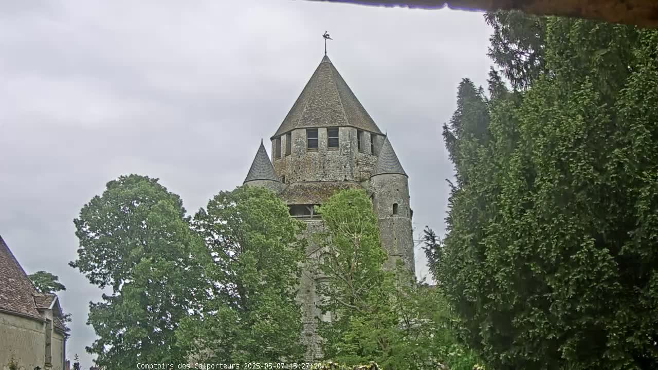 A stone tower with a conical roof is partially visible behind leafy green trees under an overcast sky.