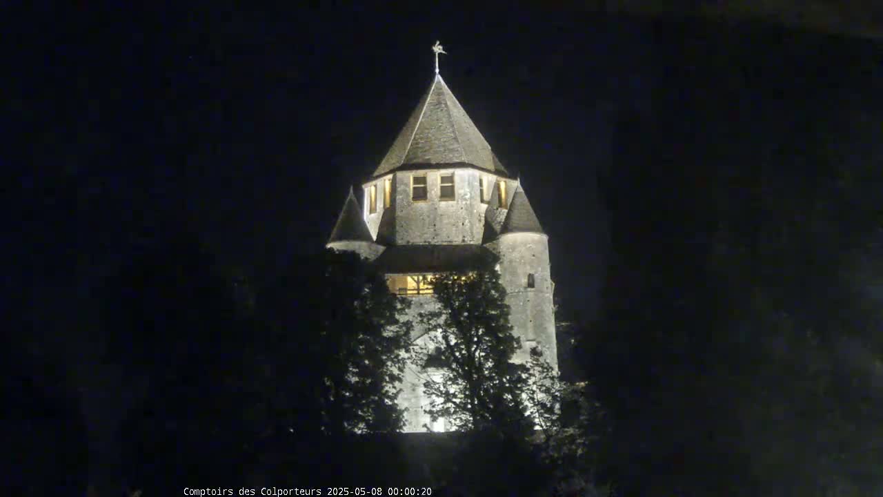 A stone tower, illuminated at night, is partially obscured by trees under a dark sky.