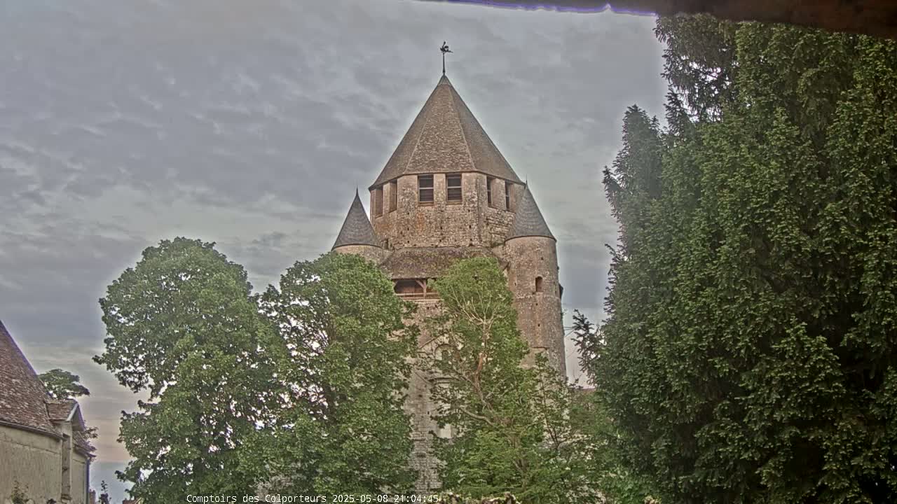 A stone tower, partially obscured by trees, stands under a cloudy sky.