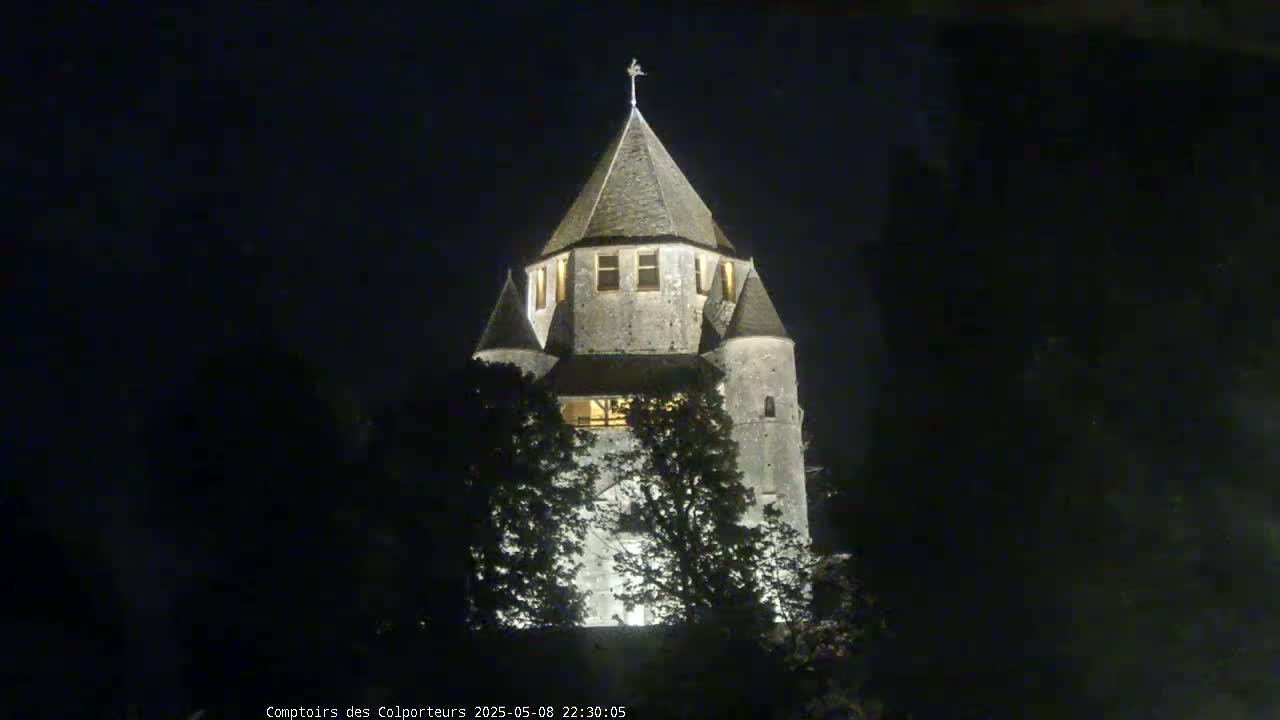 A stone tower, illuminated at night, is partially obscured by trees under a dark sky.