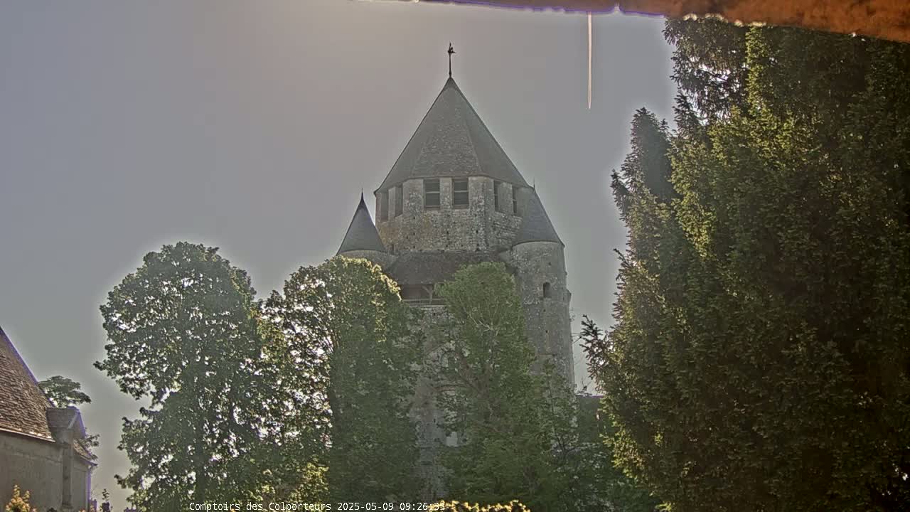 A stone tower, partially obscured by trees, stands under a hazy sky.