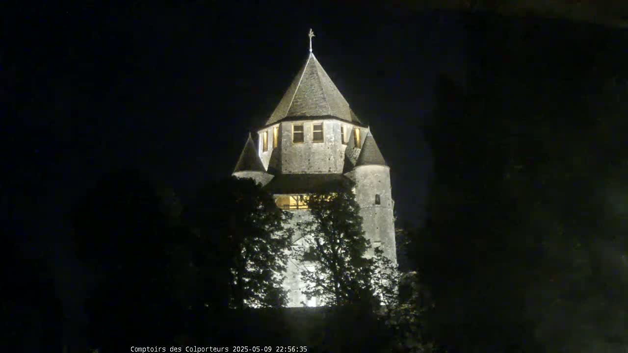 A stone tower, illuminated at night, is partially obscured by trees.