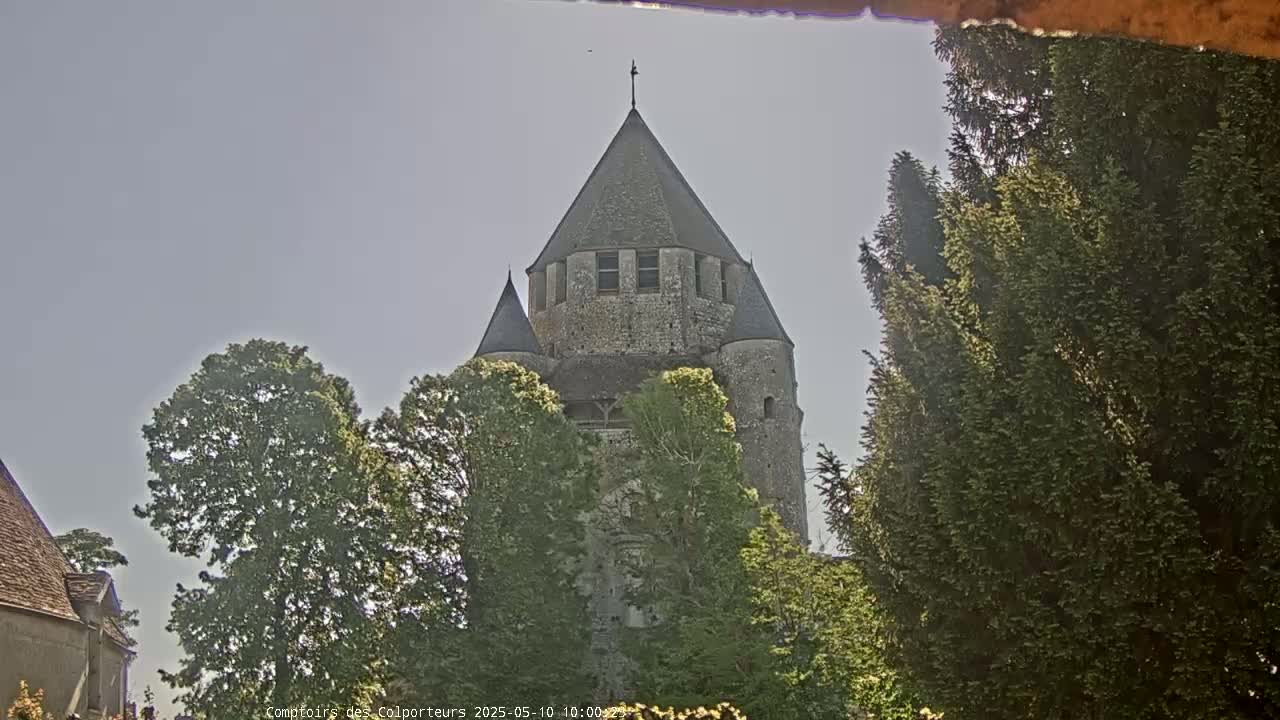 A stone tower, partially obscured by trees, stands under a pale sky.