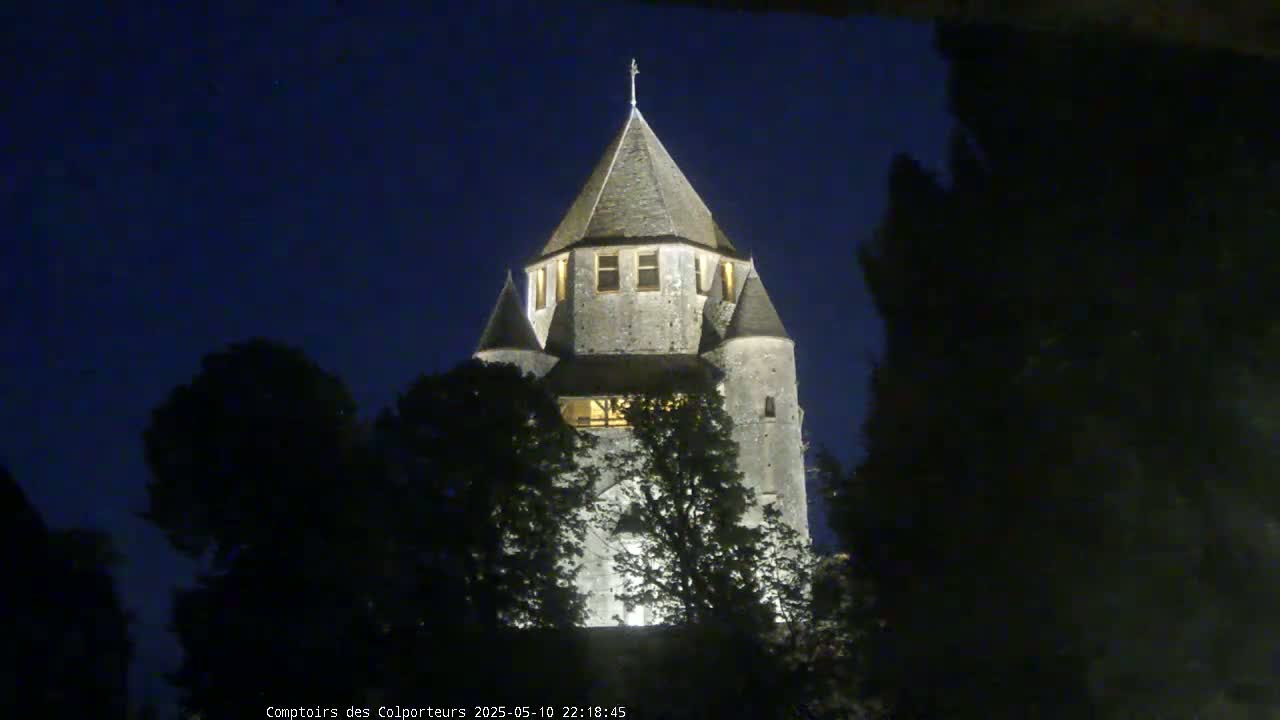 A stone tower, illuminated at night, is partially obscured by dark trees under a clear, dark blue sky.
