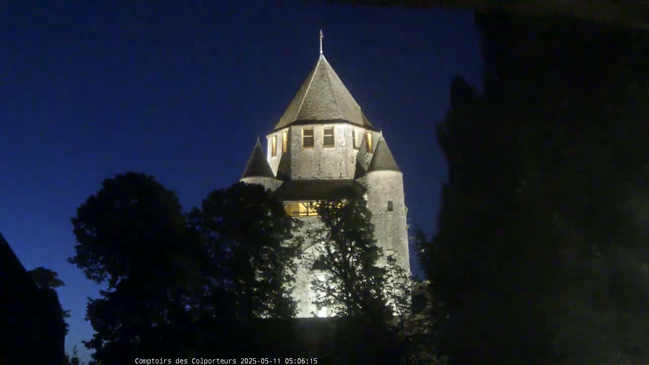 A stone tower, illuminated at night, is partially obscured by dark trees under a clear, dark blue sky.
