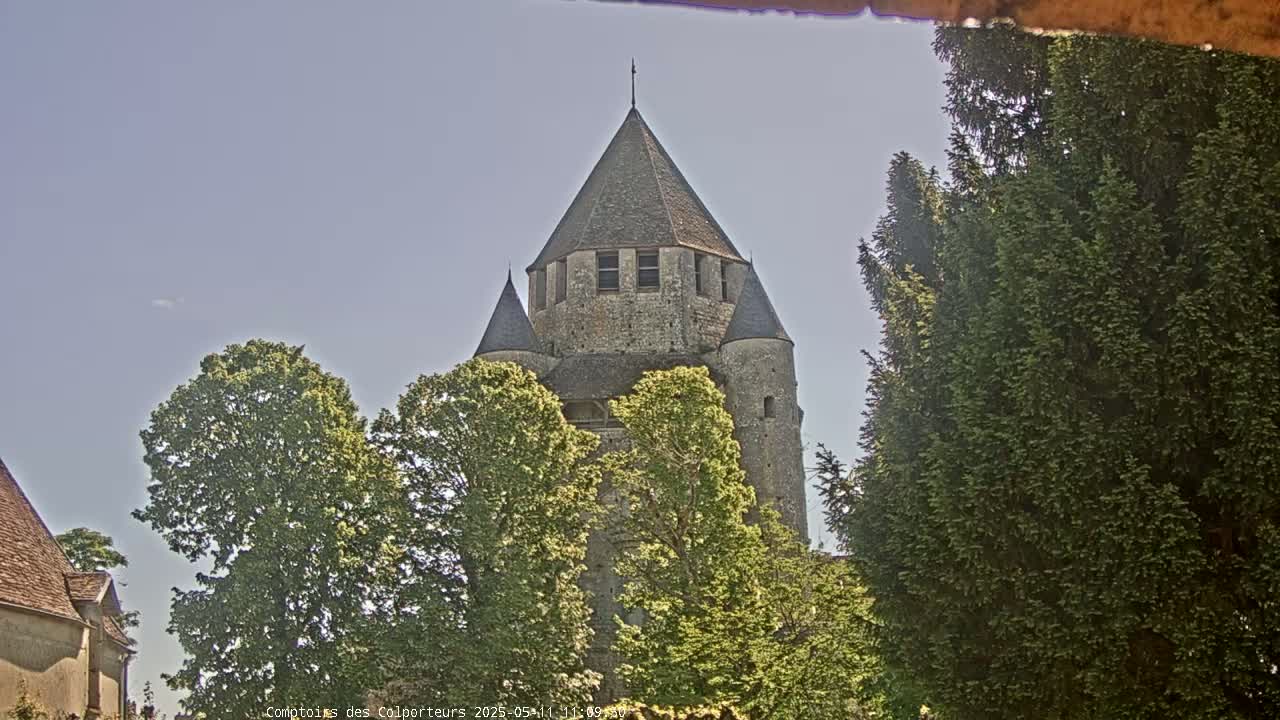 A stone tower with a conical roof is partially visible behind leafy green trees under a clear, light blue sky.
