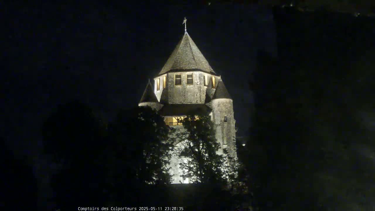 A stone tower, illuminated at night, is partially obscured by dark trees.