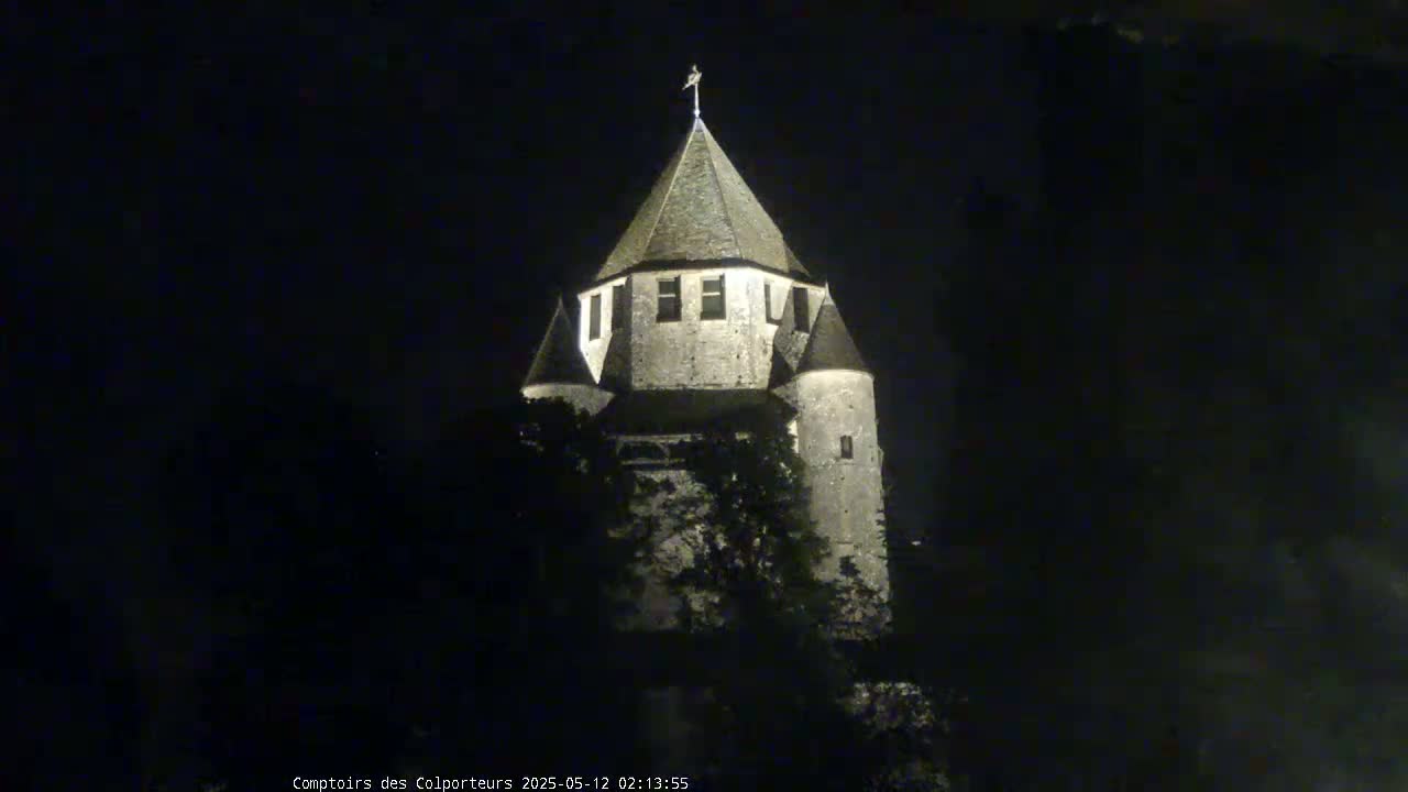 A stone tower, illuminated at night, is partially obscured by trees.