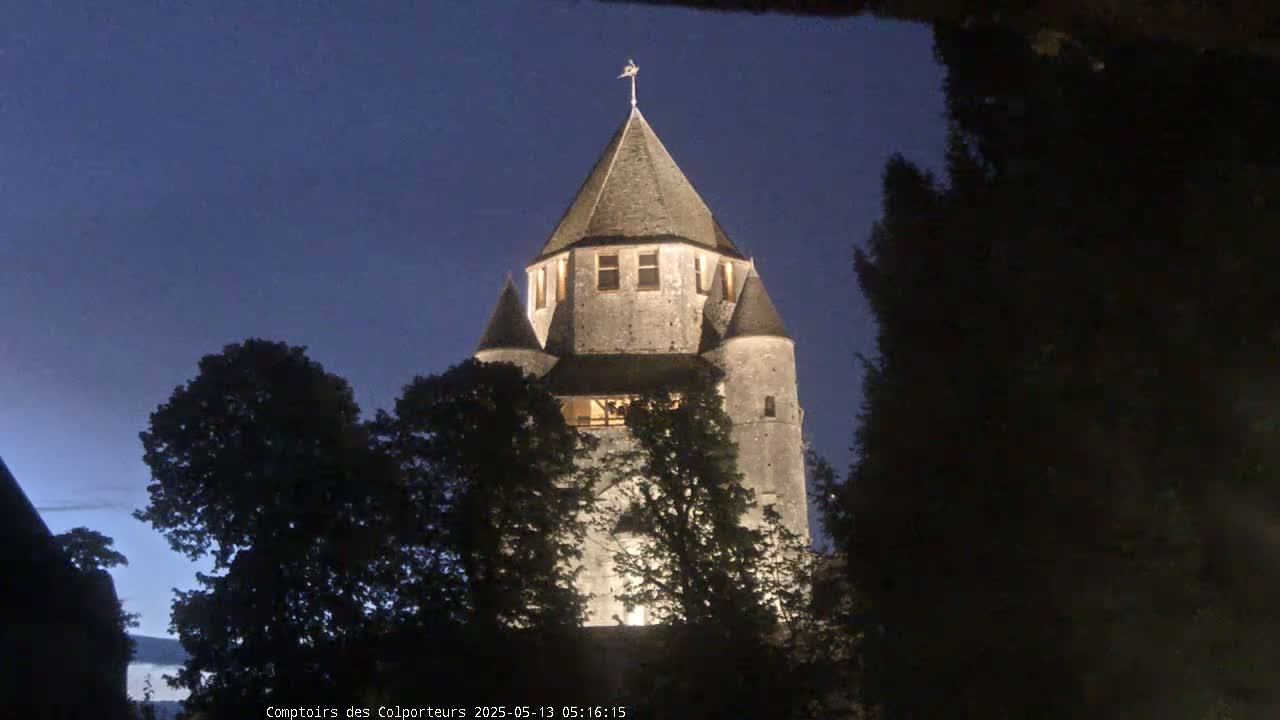 Provins Commune Tour Cesar Tower& Castle Live Cam - Provins, Seine-et-Marne, Ile-de-France, France