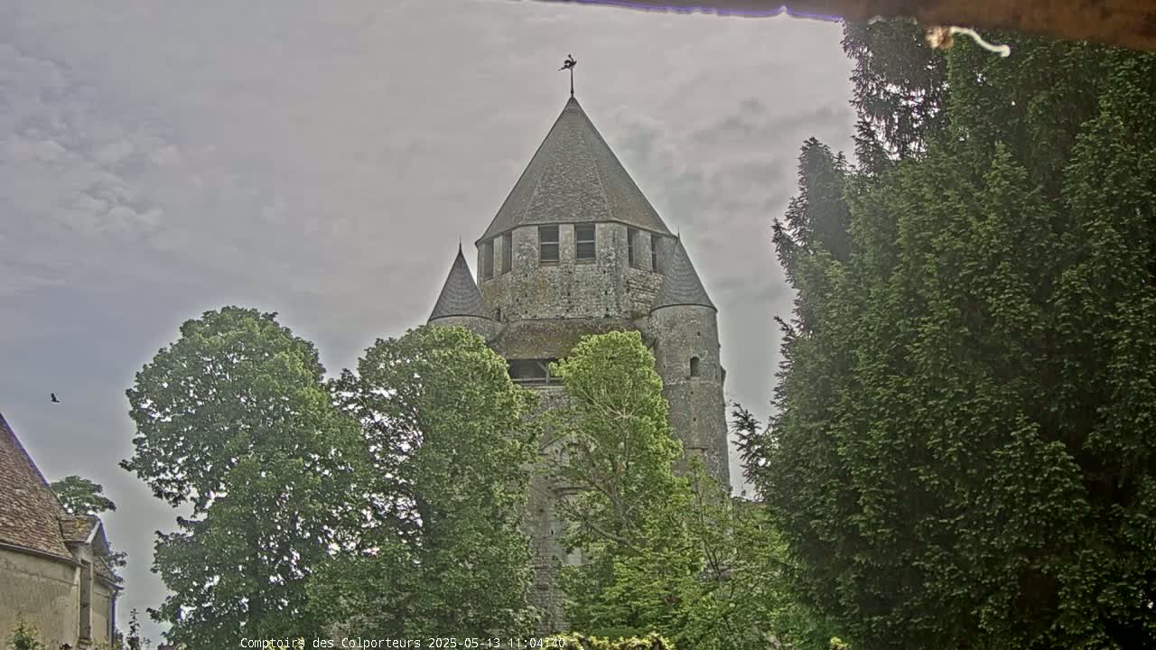 A stone tower, partially obscured by trees, stands under a cloudy sky.
