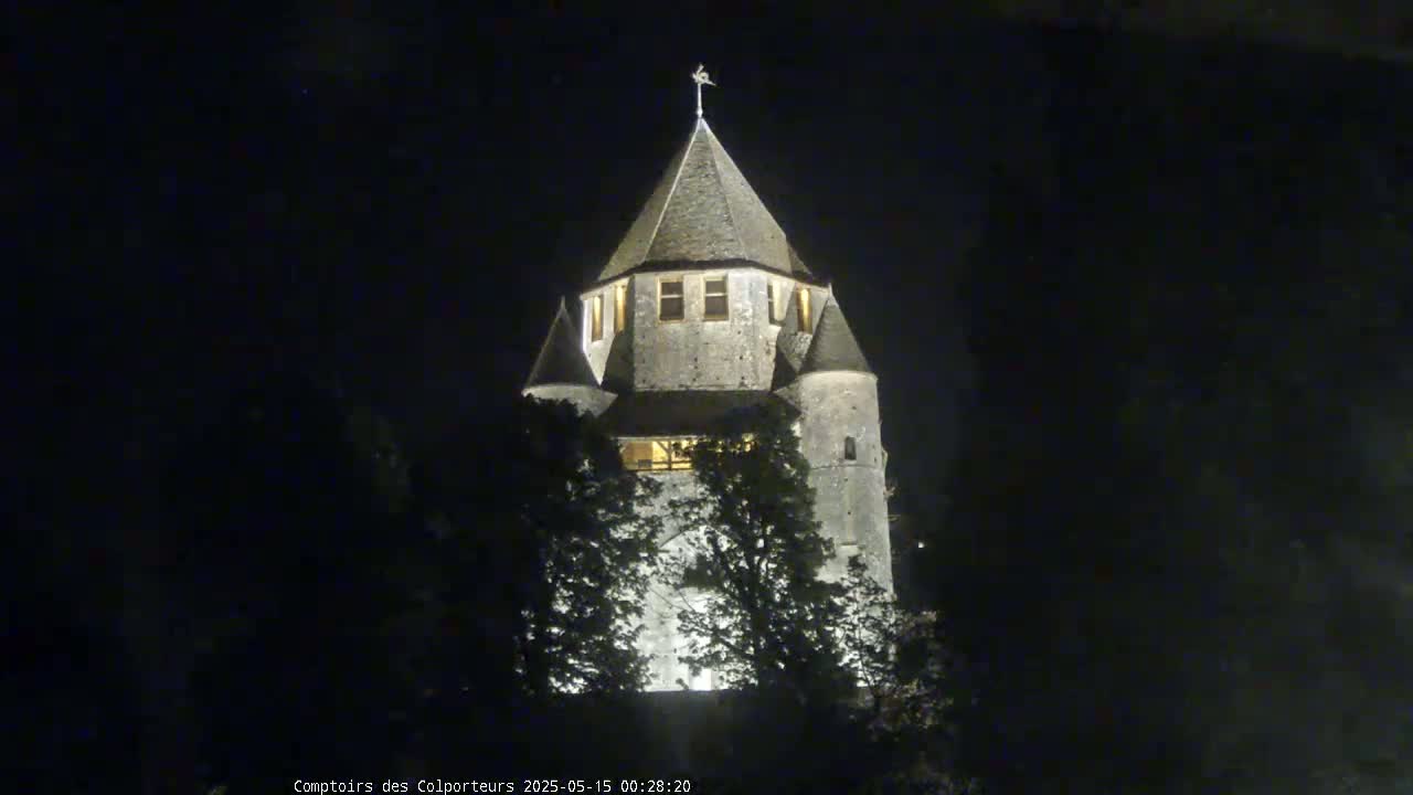 Provins Commune Tour Cesar Tower& Castle Live Cam - Provins, Seine-et-Marne, Ile-de-France, France