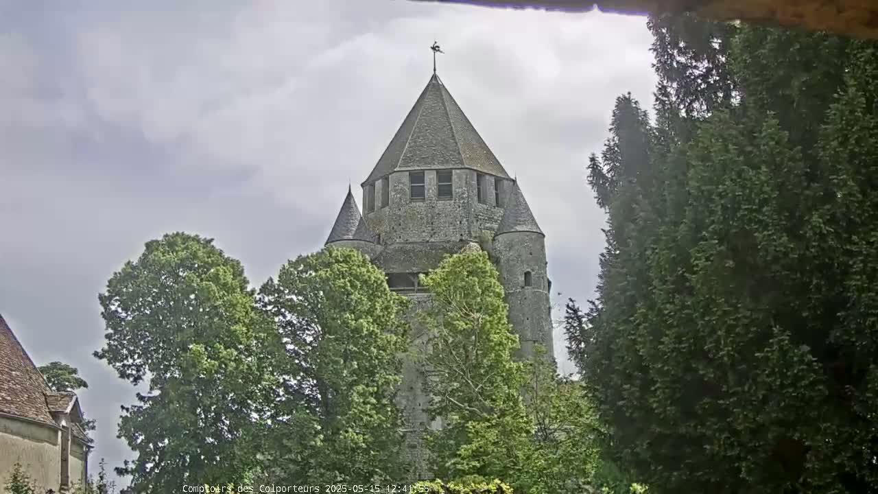 A stone tower, partially obscured by trees, stands under an overcast sky.