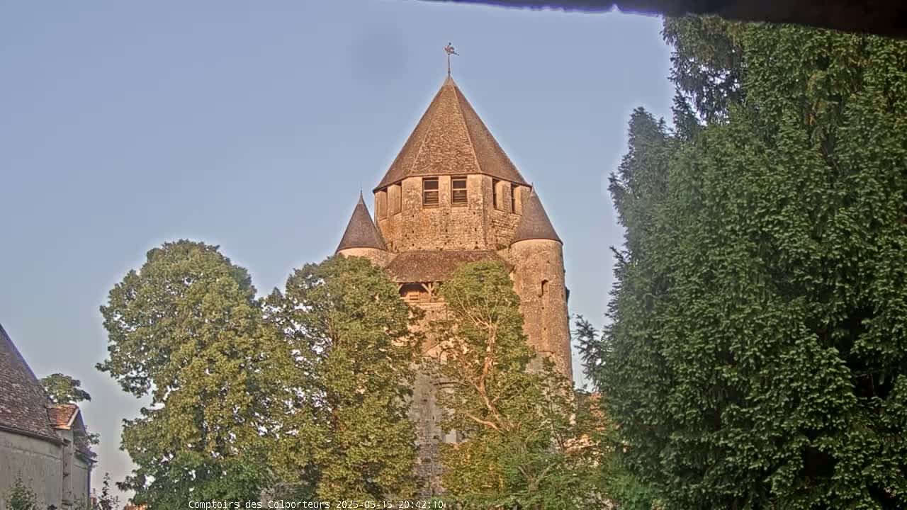 A tall, stone tower with a conical roof is partially obscured by leafy green trees under a clear, light-blue sky.