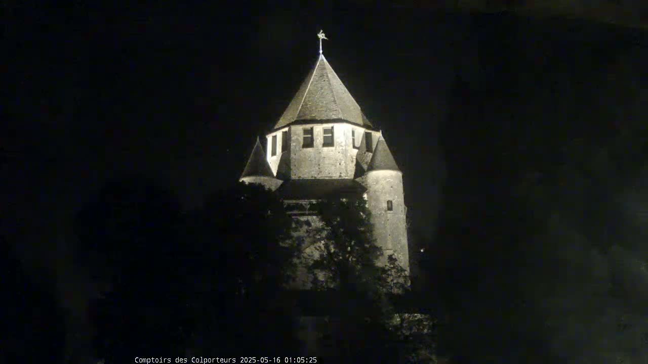 Provins Commune Tour Cesar Tower& Castle Live Cam - Provins, Seine-et-Marne, Ile-de-France, France