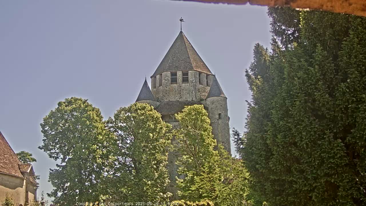 A stone tower with a conical roof is partially obscured by leafy green trees under a clear, bright sky.