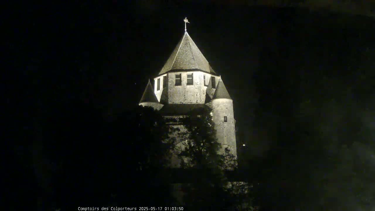 Provins Commune Tour Cesar Tower& Castle Live Cam - Provins, Seine-et-Marne, Ile-de-France, France