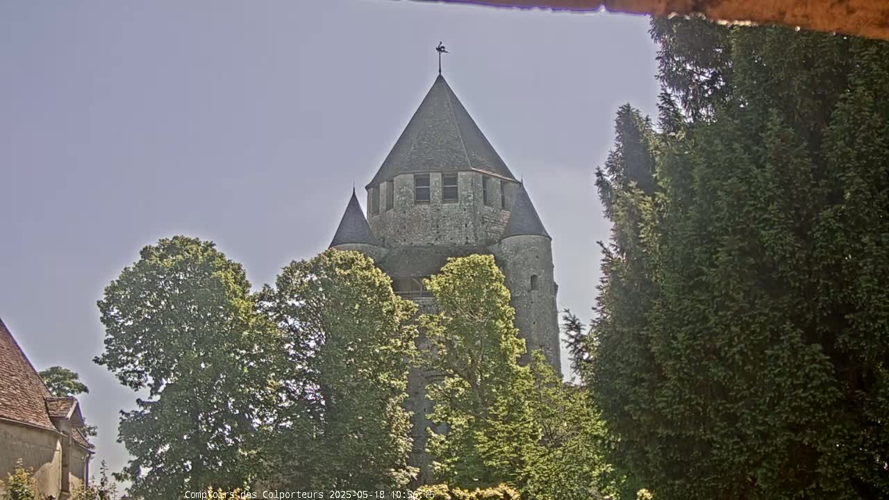A stone tower with a pointed roof is partially visible behind leafy green trees under a mostly clear sky.