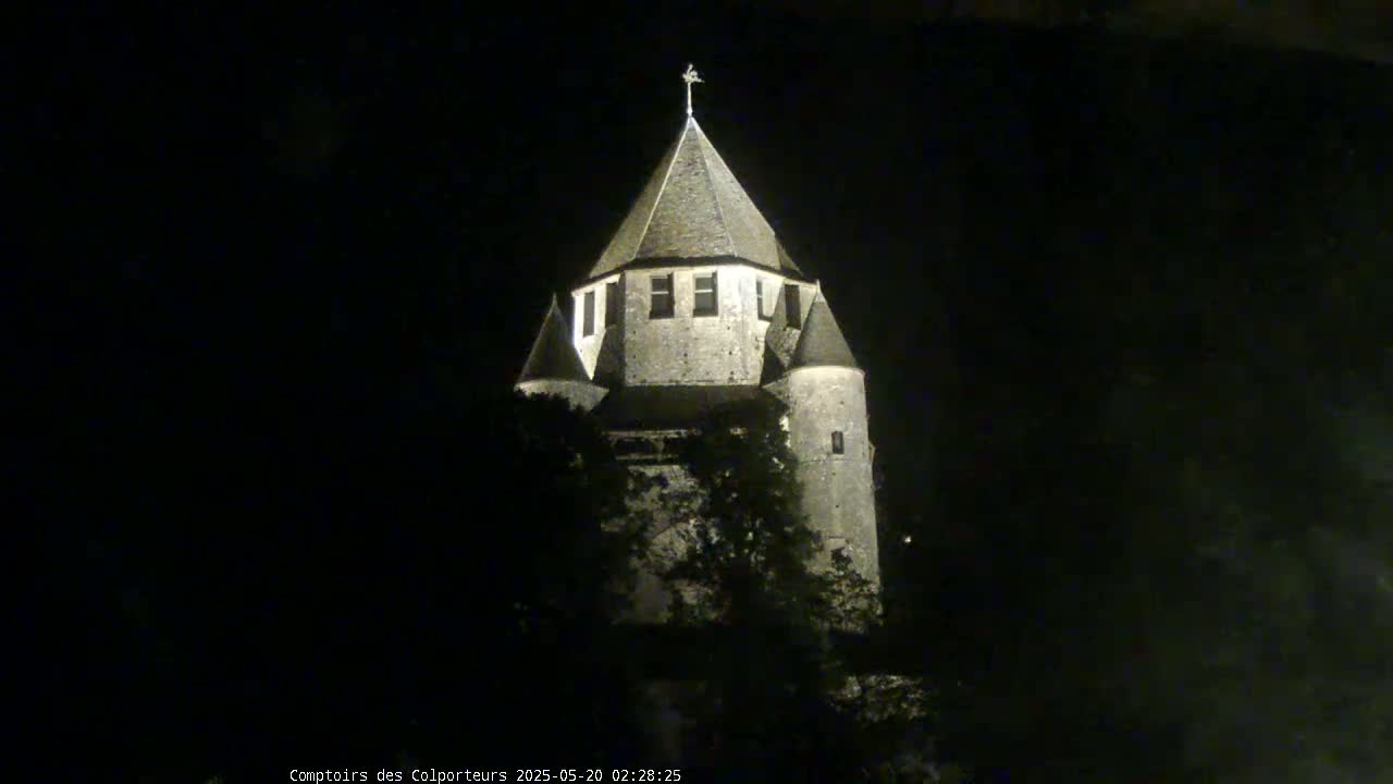 A stone tower, illuminated at night, is partially obscured by trees.