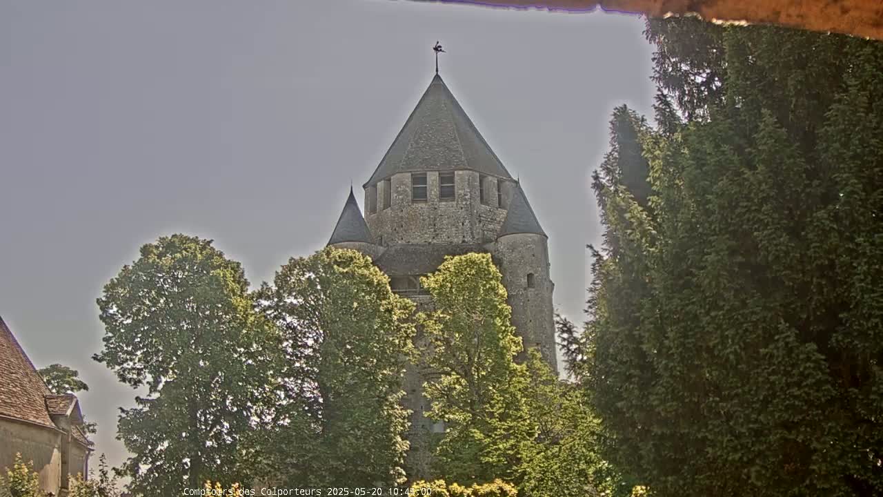 A stone tower with conical roofs is partially obscured by lush green trees under a mostly clear sky.