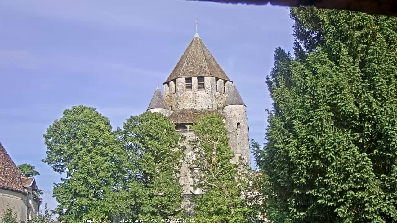 A tall stone tower with a conical roof is partially obscured by green trees under a clear blue sky.