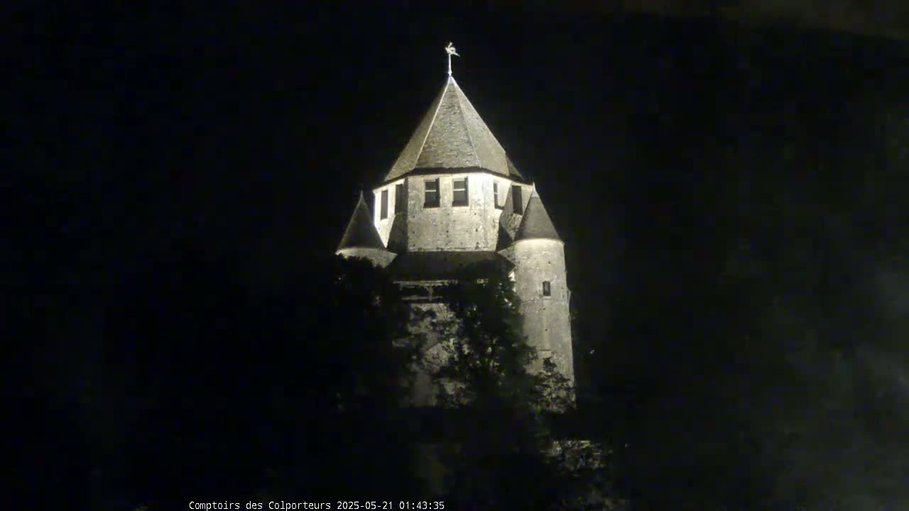 Provins Commune Tour Cesar Tower& Castle Live Cam - Provins, Seine-et-Marne, Ile-de-France, France
