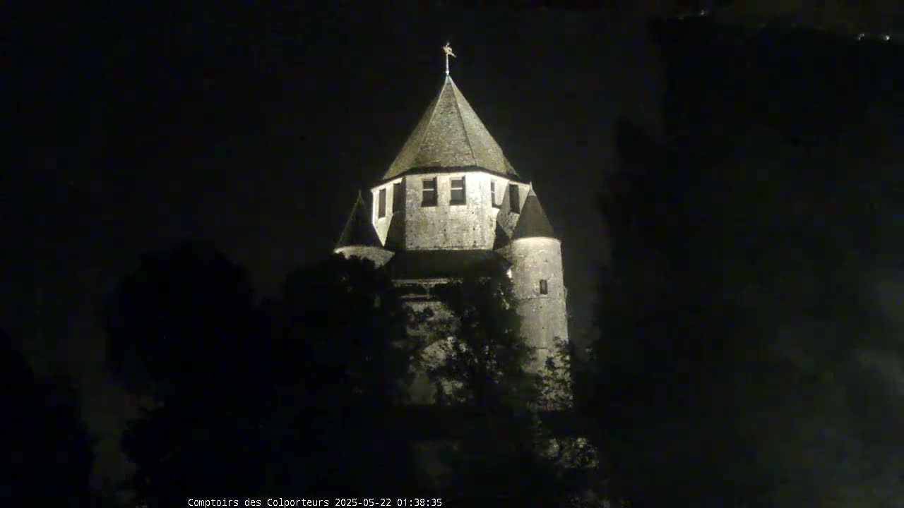 A stone tower, illuminated at night, is partially obscured by trees.