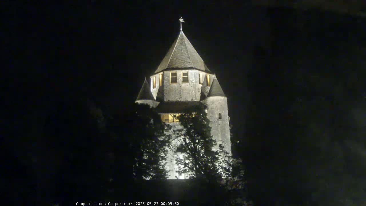 A stone tower is illuminated at night, partially obscured by trees.