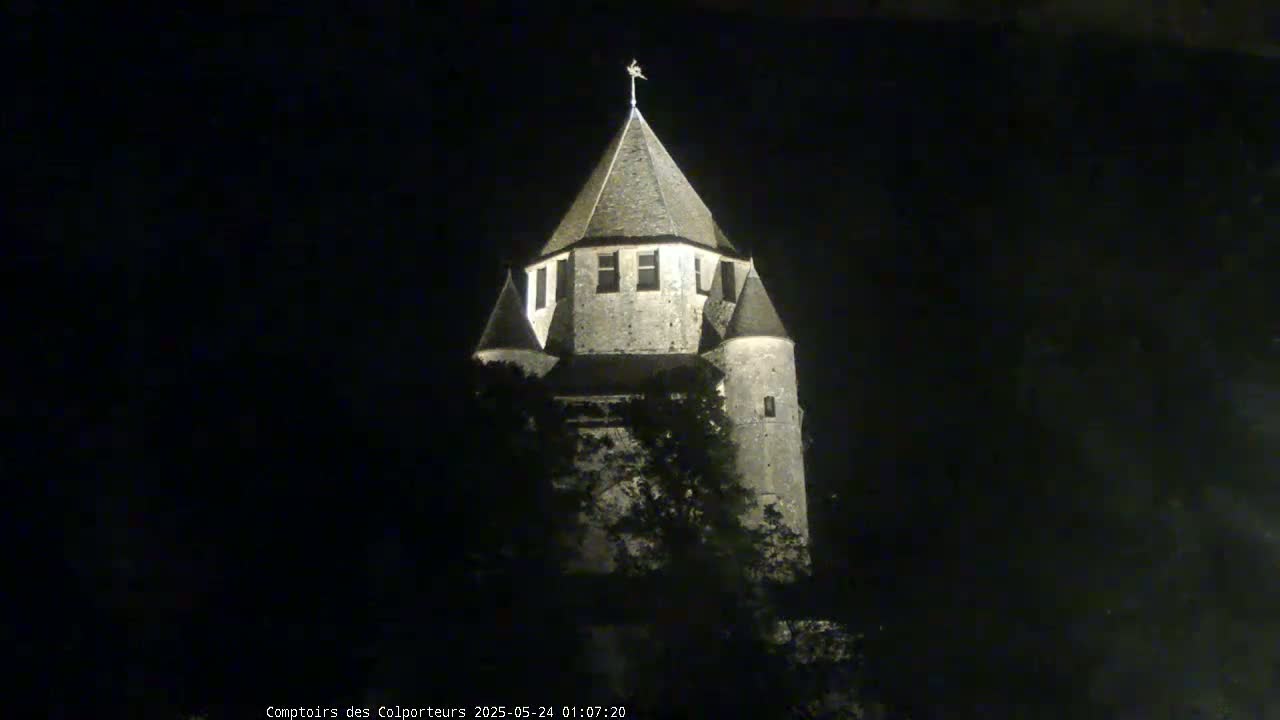 Provins Commune Tour Cesar Tower& Castle Live Cam - Provins, Seine-et-Marne, Ile-de-France, France